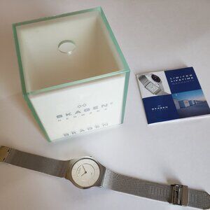 SKAGEN DENMARK STAINLESS STEEL MEN'S WATCH
